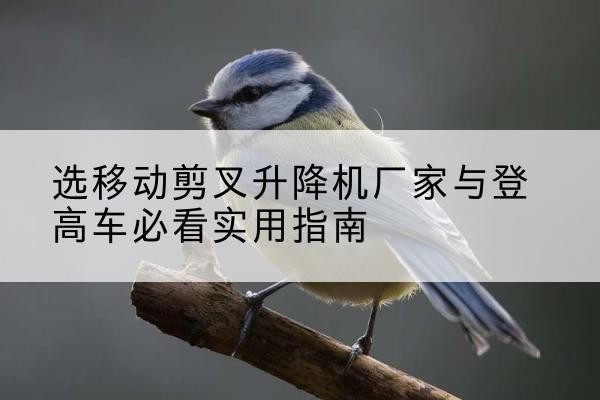 霸州电动升降机厂家-选移动剪叉升降机厂家与登高车必看实用指南