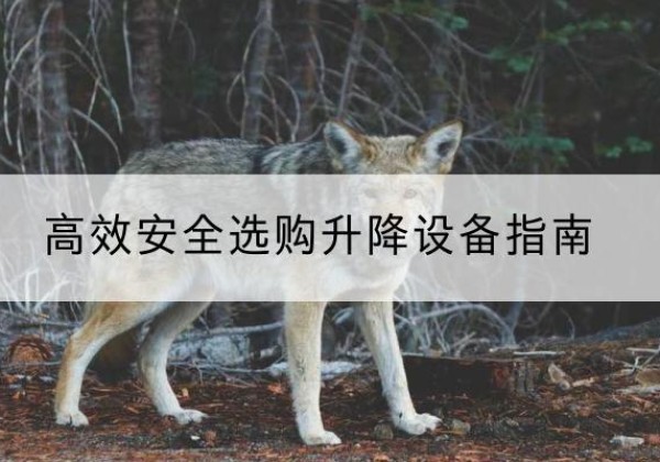 霸州升降货梯厂家推荐-*安全选购升降设备指南