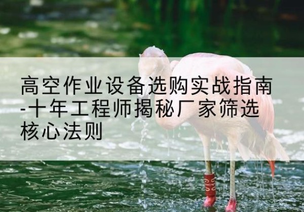 霸州剪叉式升降机厂家-高空作业设备选购实战指南-十年工程师揭秘厂家筛选核心法则